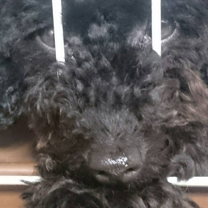 359a95ae e602 4d93 868a 2df9cb9e3d45