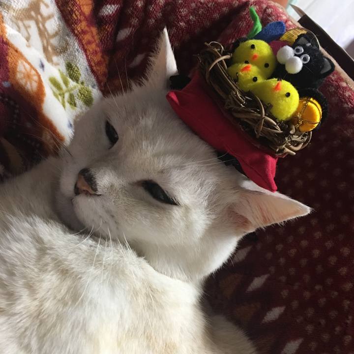 359adb99 9da3 40c8 8a73 b94c74703e1b