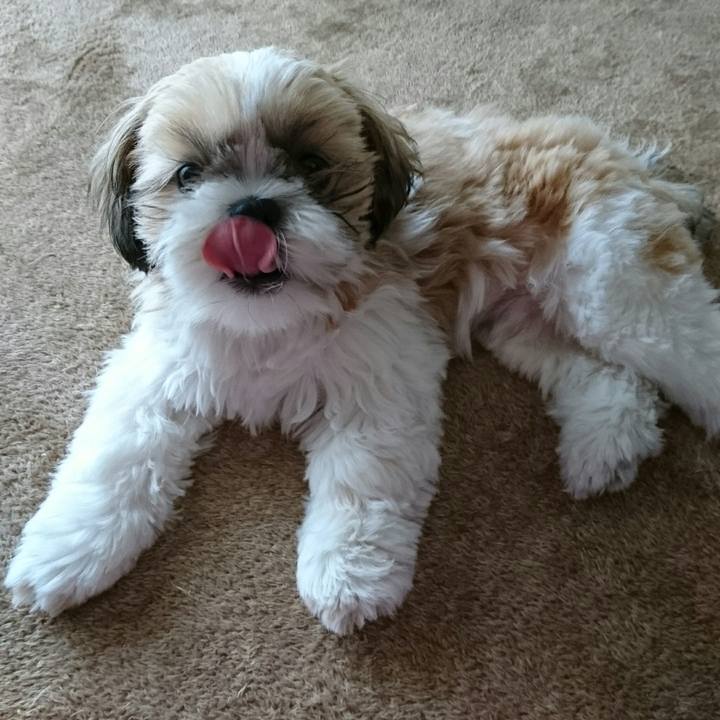 359afca0 2832 4636 8c16 d47244509a80