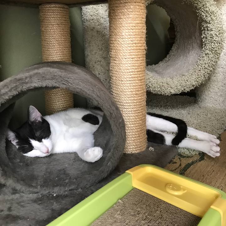 359b04c6 518e 4ecc 877d b13408c874d3