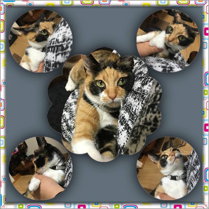 359bad4f 0707 4ef5 a3e8 d4b274c4957e