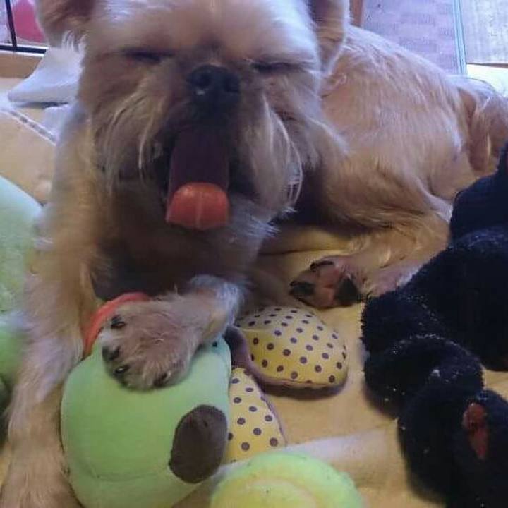 359c64da 92f0 489b 9bcd 0c5fc7853e7a