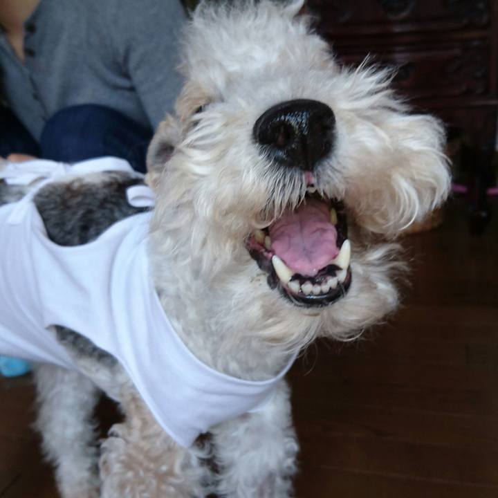 359d0b2c 564d 435b ac91 ac0e85d788d5