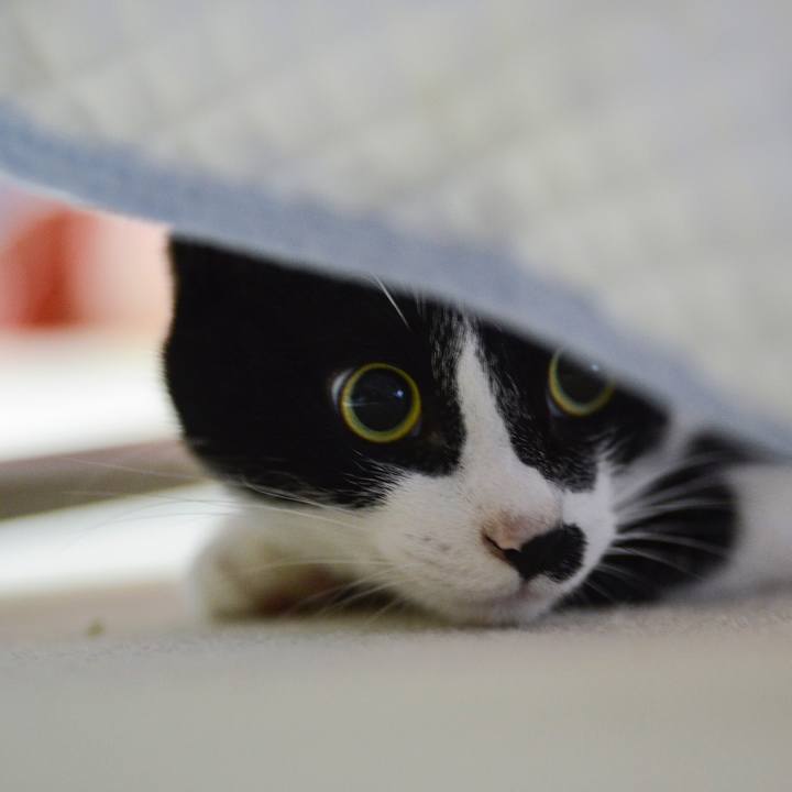 359d4535 e96f 4d3b ac55 8824a02da02a