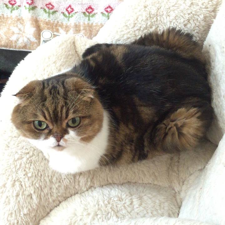 359d4e22 2c31 4a1e b243 87dd209f445e