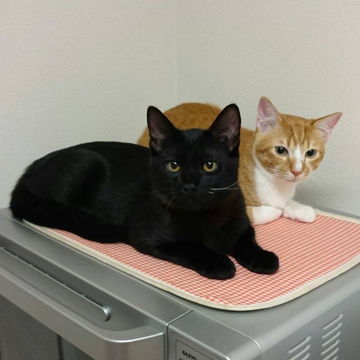 359d70e2 c18b 4e1b 889e eeec85884e43