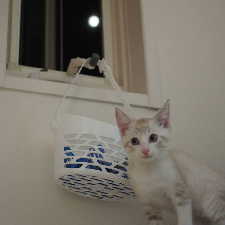 359e8e8d 48dd 4cd3 a2d2 bb28802e7f31