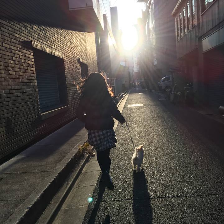 359ea554 0bdb 4a7a 85bb 09d81e2a2241