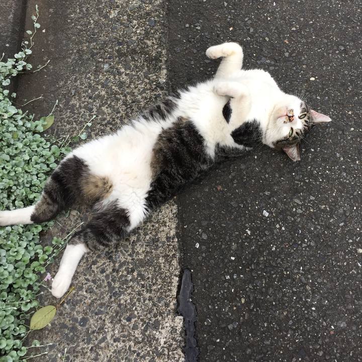 359f2b75 e7f6 48b7 b1e7 65397daee85f