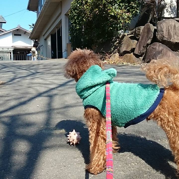 359f5ea9 9222 46f6 b05b 1ef422295fdd