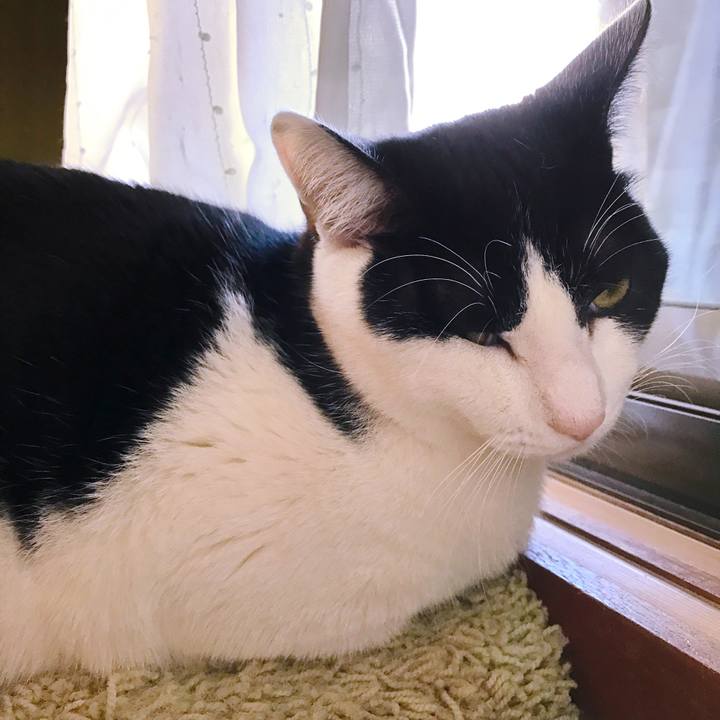 35a058d1 3d9a 42f5 a6b8 5fb957164a6a