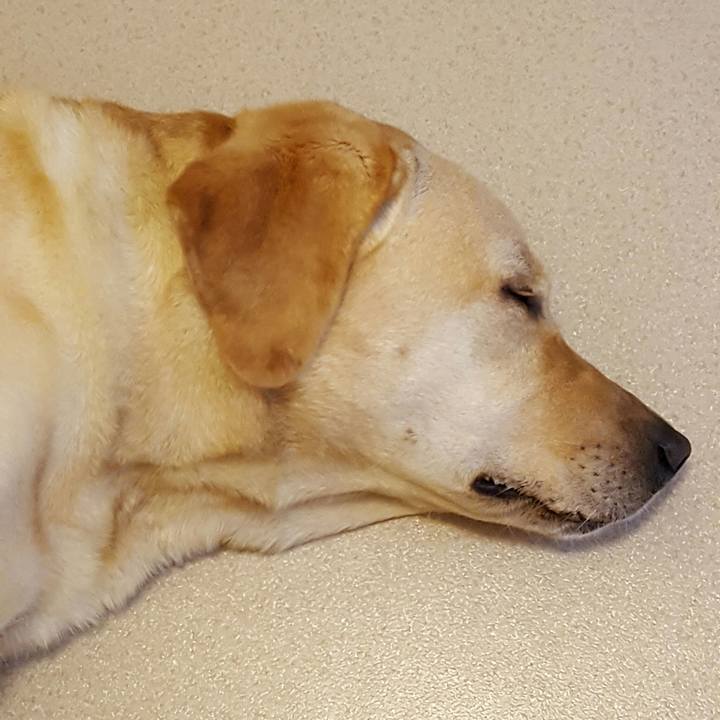 35a06e55 23dd 42ef b358 fdabead26987