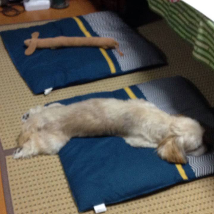 35a07c95 94ae 4eb8 9c40 df4e7713d95c