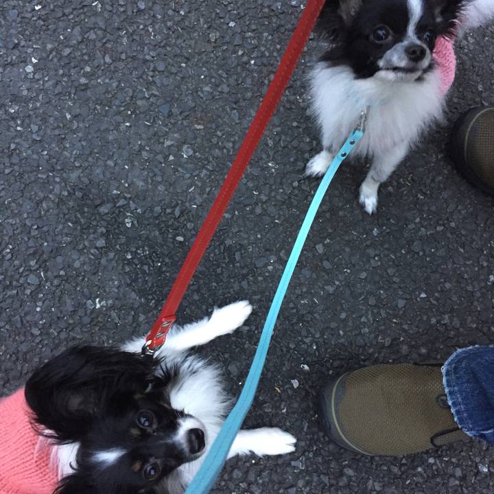 35a0c8e1 ab8c 41d1 a3a5 22f7a03086d0