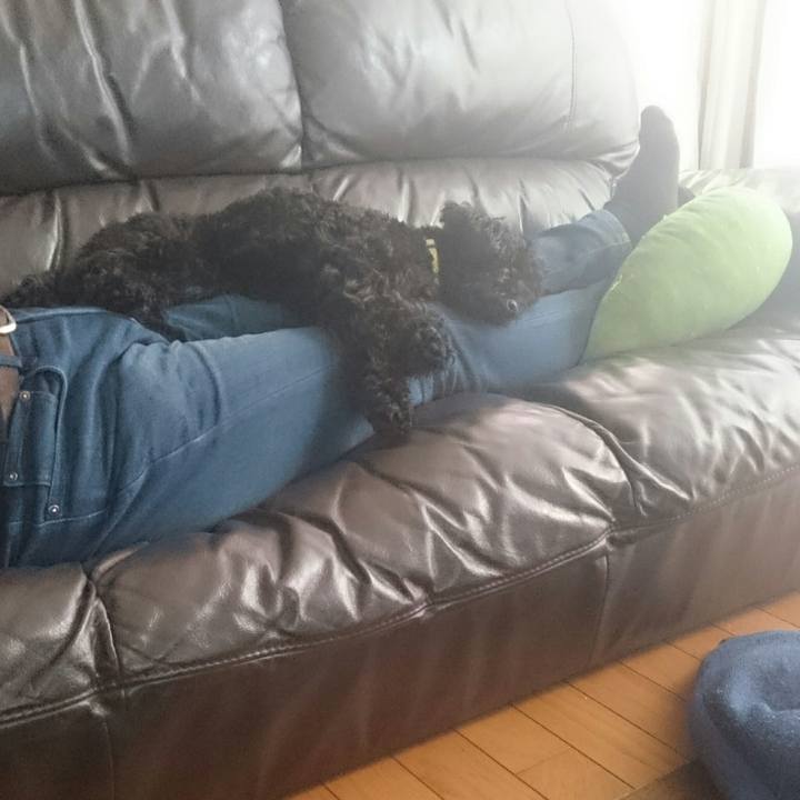 35a14f2d d6a4 441c 947f 689feea6577c