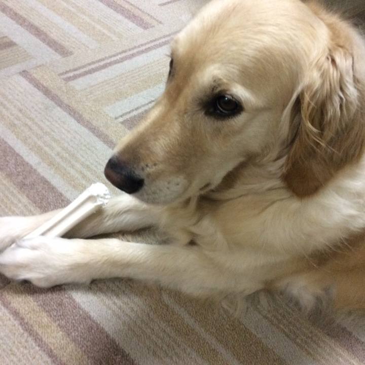 35a1818a fbe8 4317 9667 85d58481a8e3