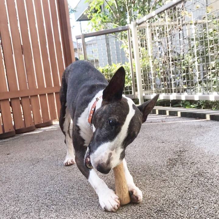 35a2313f 6741 4c29 9136 18244e32f0e3