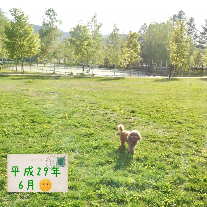 35a25f53 1623 474c b230 66f6bfe43f55