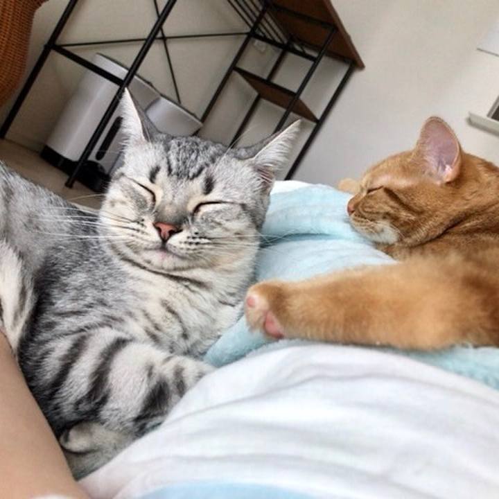 35a3101f 165c 4467 acdd 9b2a42e1594a