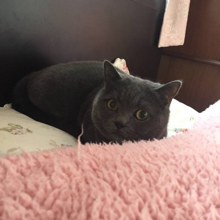 35a5b02d b50c 45c7 815f 8c094a6364ca