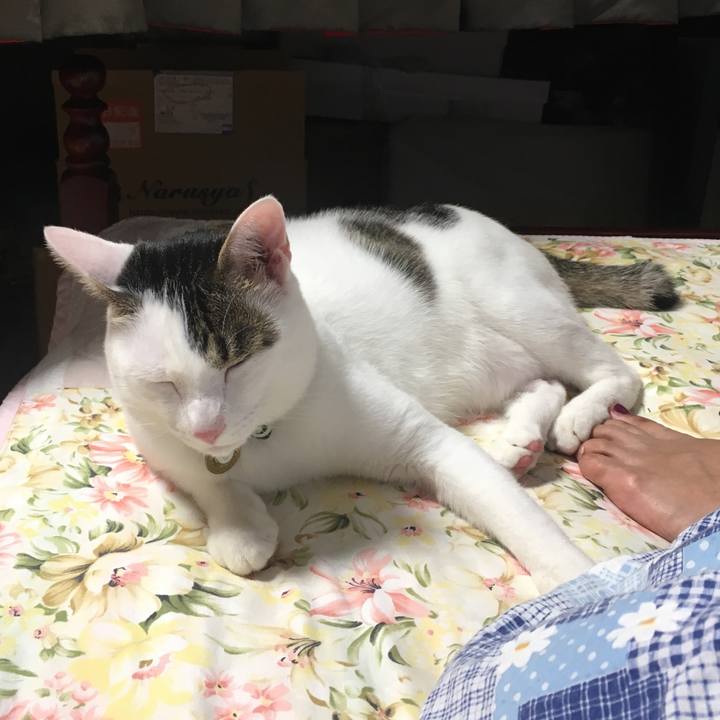 35a6d42f c1f7 4fbd 8566 309367efcd10