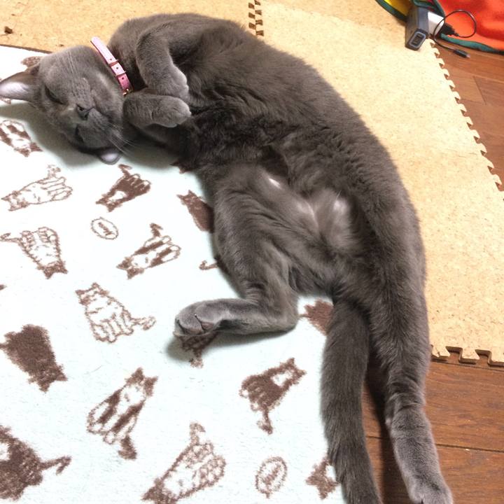 35a765ab 47d7 4b3e 9dc9 165da777b025