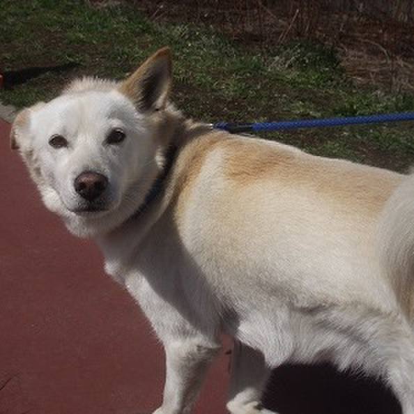 35a7bde0 dfe5 4b1d 8a3b d4df2ea01f83