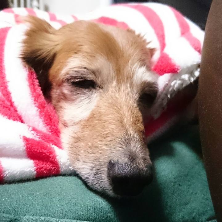 35a7c7e1 9754 4ee4 a84e b026ed424b07