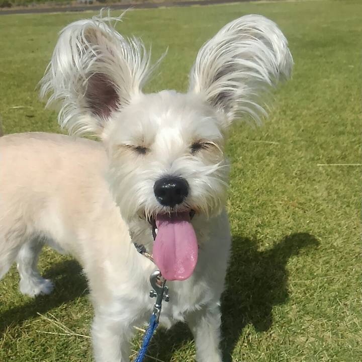 35a7ef17 3b33 426c ad33 3f002eec4610