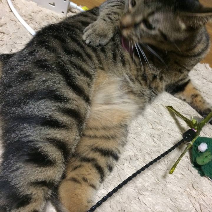 35a811e1 7bf1 4665 80f7 ec375e598df6