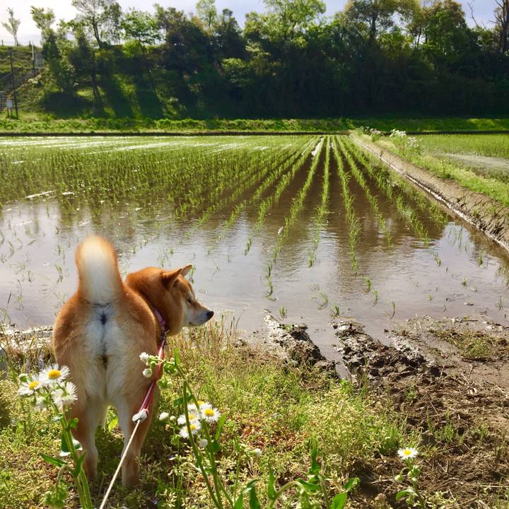 35a88d73 29ac 4dc8 9027 a24018176127