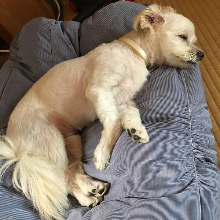 35a9868e f9ba 4e31 b3d6 3623c1d7cbc7