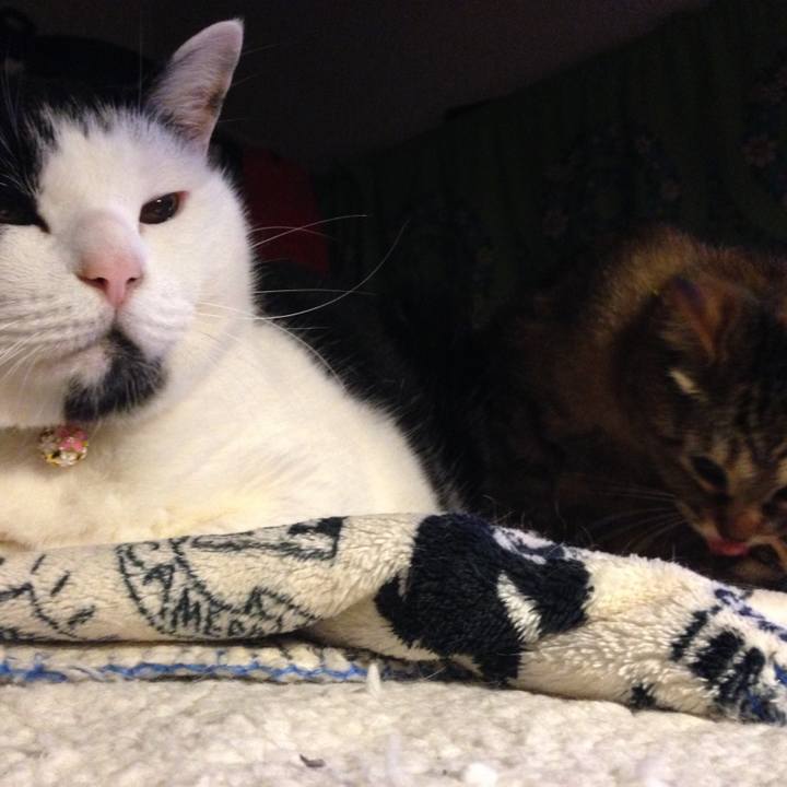 35ab6e6a eac4 44fa 9a84 42e447f96c59