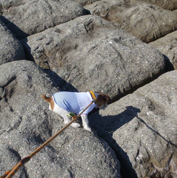 35abb5d6 6509 4610 b467 6ce61208c1ec