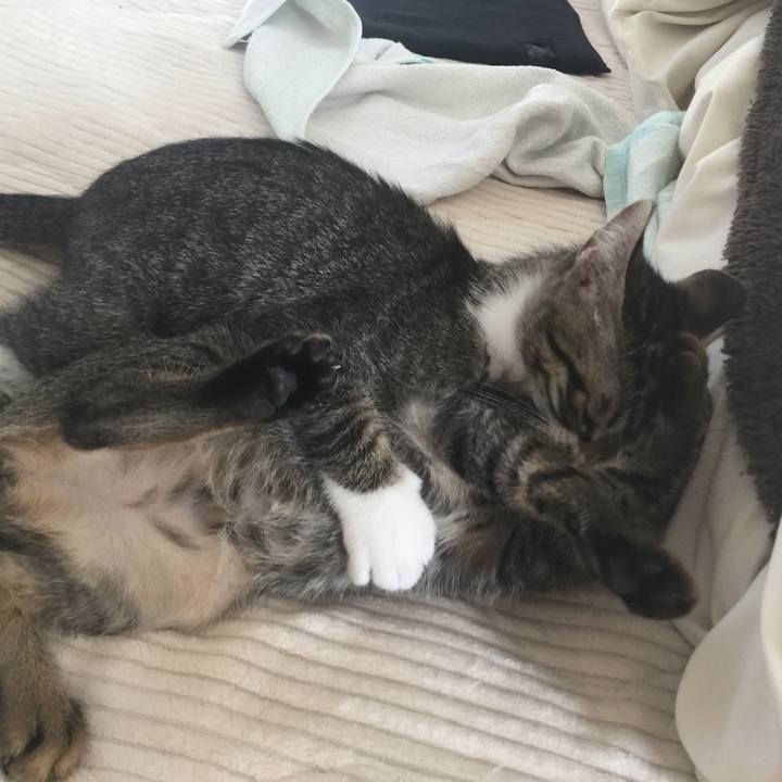 35abcc68 340d 47d0 91b4 daa21fe90789