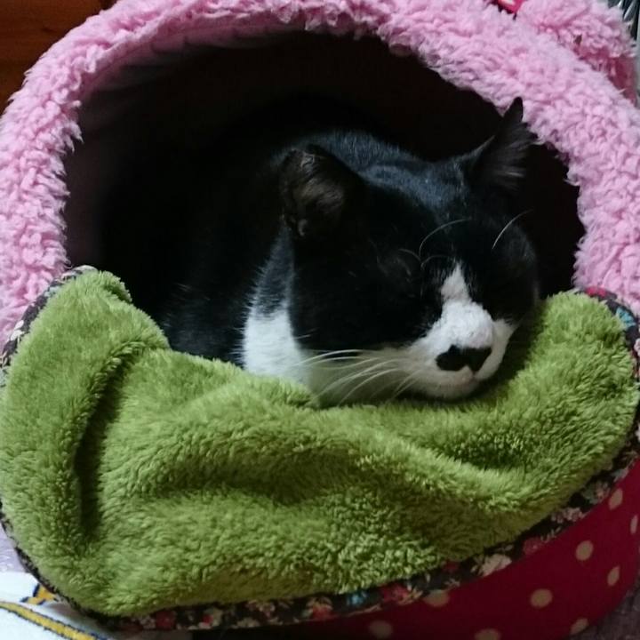 35ac8fd8 2792 4efe 8806 9db07a780821