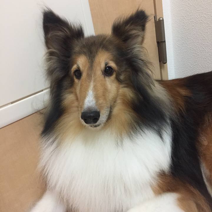 35accc70 4e3c 4075 92b9 96b68e62e413