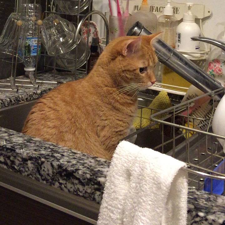 35acf8ad 2f1c 4ea1 9626 49c20879a65c