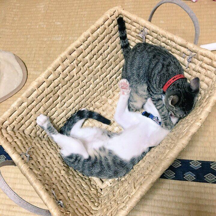 35ad2772 7763 432a 8287 4efd57e36c07