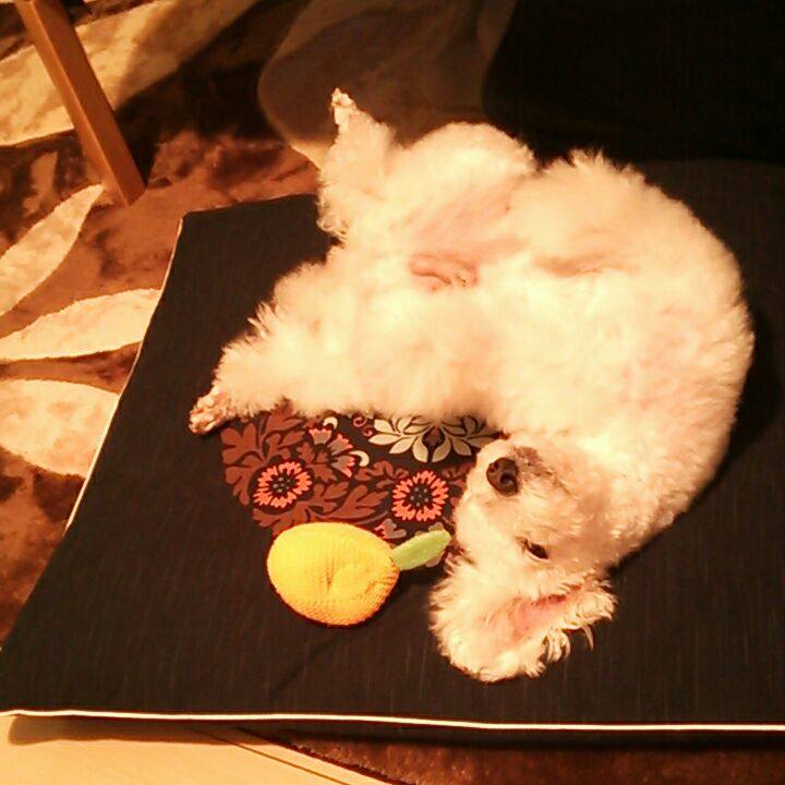 35ad64e9 135c 4fd7 95d4 11c1e6cddc10