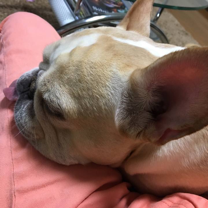 35ad6770 33d2 490d 9fca f2f2463f1d5a