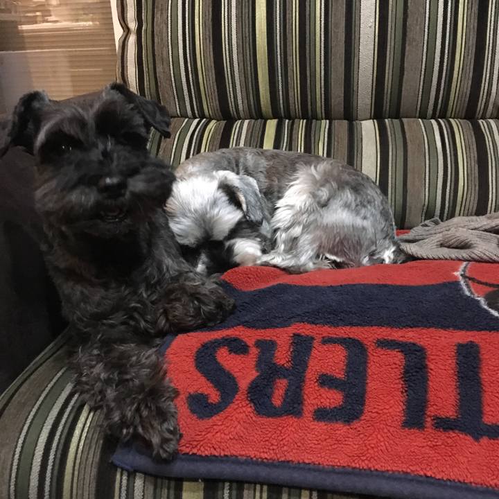 35ae9991 8b0f 4edd a73c 6031f52b1c81