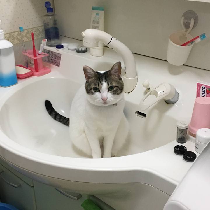 35ae9b01 7f62 496a b14d 510226163315