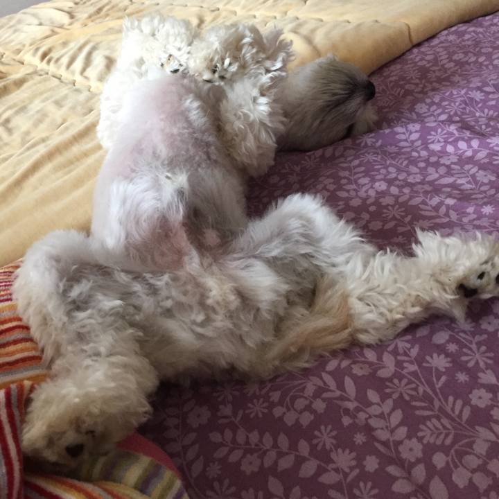 35aeb3dd 6873 4257 8be0 cd7e64f17729