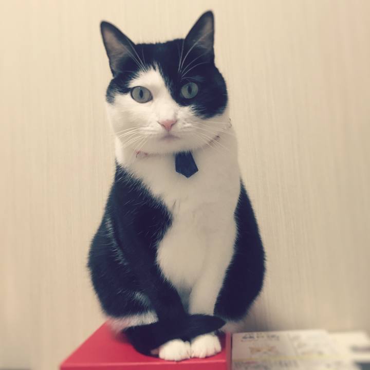 35af777a e1a1 4e86 837d b78e45cc19f0