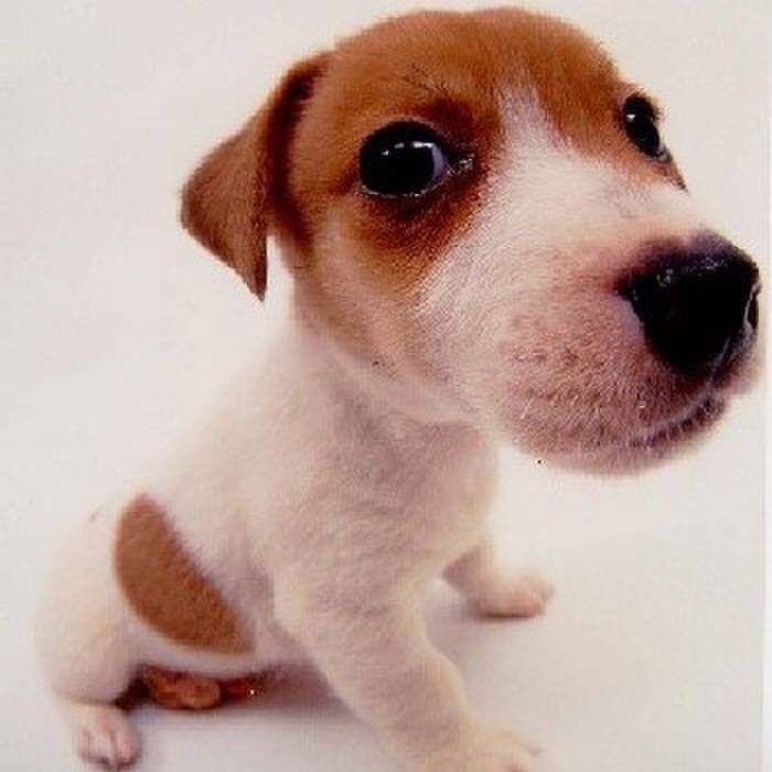 35b04e12 aca7 4b37 9a37 ac9b6bfdde56