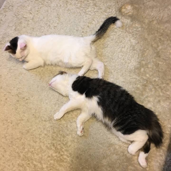 35b0665d 0e94 4602 af65 769710b40f12