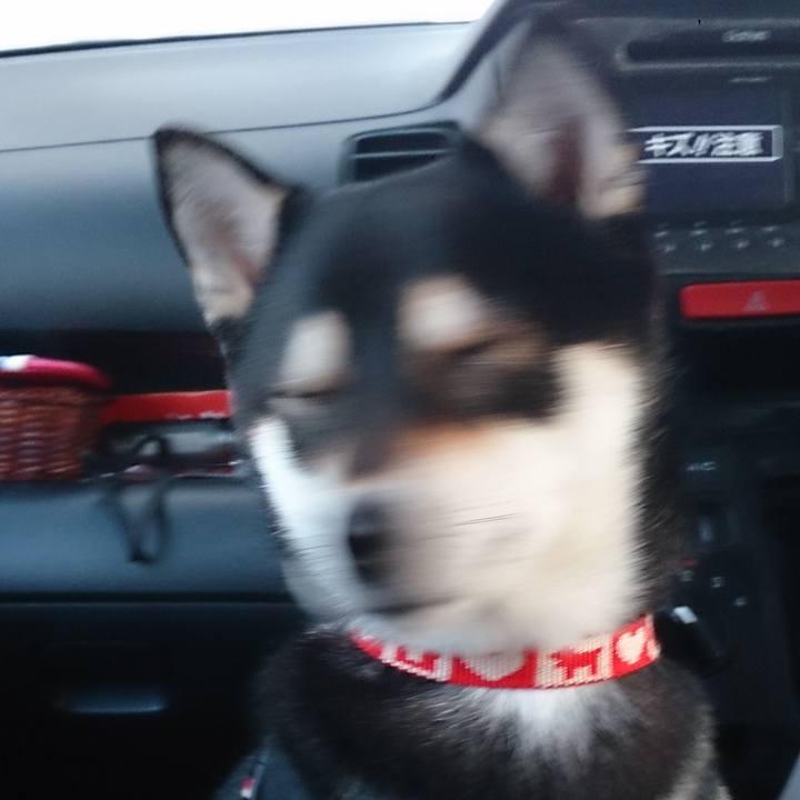 35b086d8 a526 4d47 95ee 188cd970277a