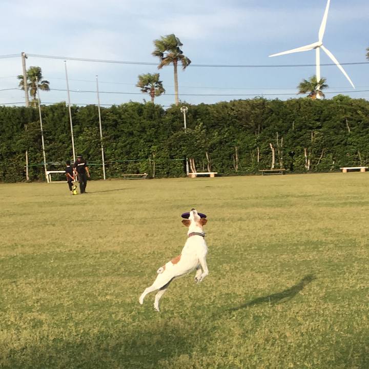 35b0d9e3 9144 454e 9eae 8f66e01b3832