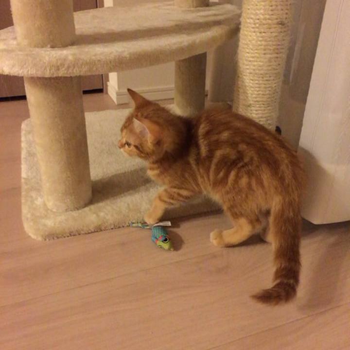 35b0eb74 78b3 40ba a3d6 a96d4816cc10